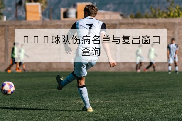 温网球员伤病与赛程复出进度